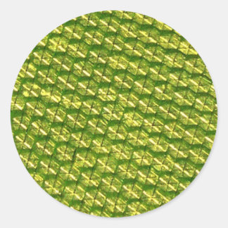 明るさ！ ラウンドシール