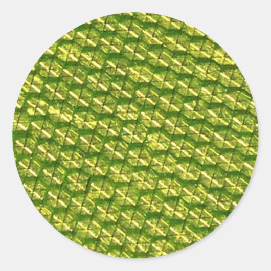 明るさ！ ラウンドシール (正面)