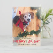『明るメリーいビーグルの犬赤いおじぎ写真クリスマス』 シーズンカード (スタンド正面)