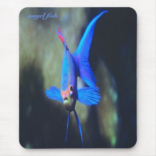 明る青天使の魚、mousepad マウスパッド (正面)