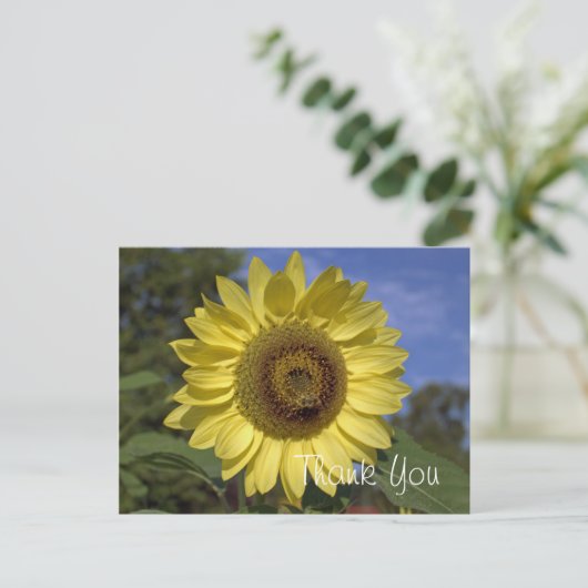 明エレガントるい夏の黄色のひまわり感謝していは ポストカード (スタンド正面)