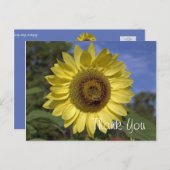 明エレガントるい夏の黄色のひまわり感謝していは ポストカード (正面/裏面)