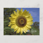 明エレガントるい夏の黄色のひまわり感謝していは ポストカード (正面)