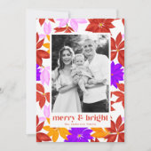 明カラフルるいメリーポインセチア写真 シーズンカード (正面)