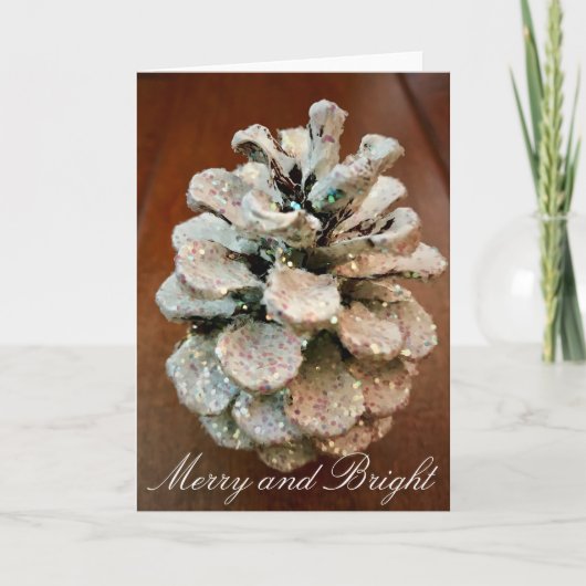 明メリーるい シーズンカード (正面)