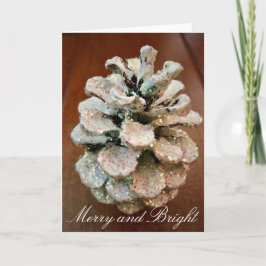 明メリーるい シーズンカード