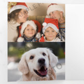 明モダンるいカラフル |クリスマスレター 三つ折りクリスマスカード (内部最初)