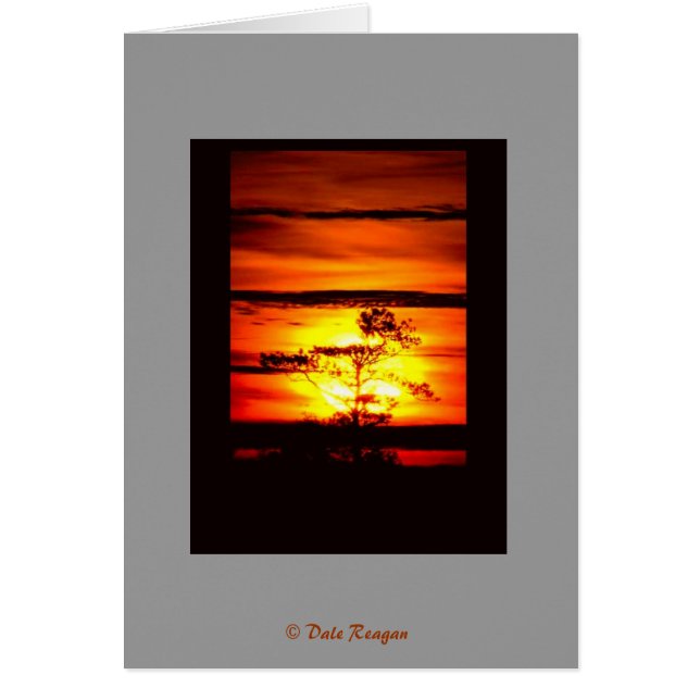 明得かり？ (正面)