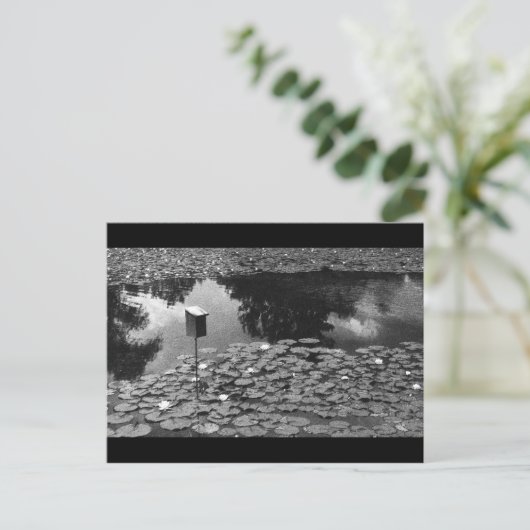 明快さ ポストカード (スタンド正面)