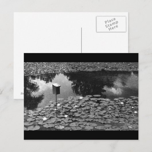 明快さ ポストカード (正面/裏面)