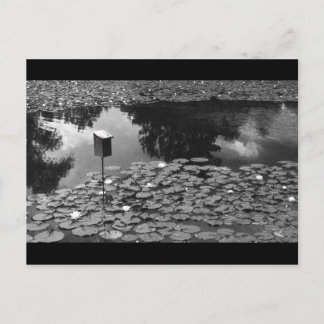 明快さ ポストカード