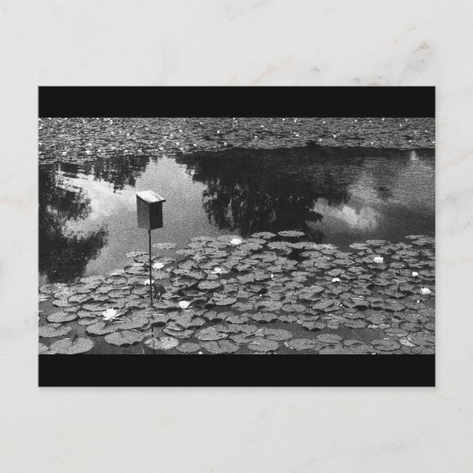 明快さ ポストカード (正面)