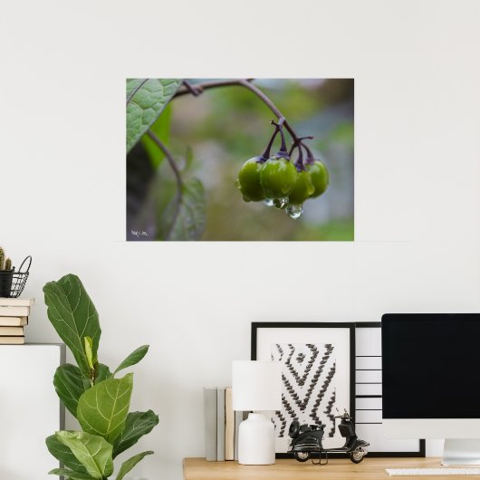 明快の果実 ポスター (ホームオフィス)