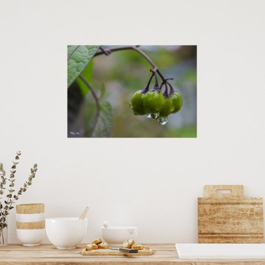 明快の果実 ポスター (キッチン)