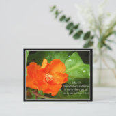 明日のことは心配するな ポストカード (スタンド正面)