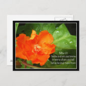 明日のことは心配するな ポストカード (正面/裏面)