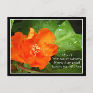 明日のことは心配するな ポストカード