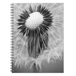 明日の種 ノートブック