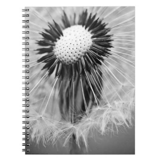 明日の種 ノートブック (正面)