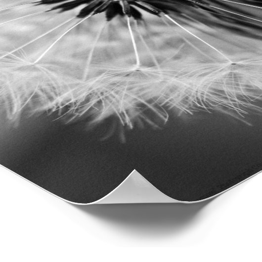 明日の種 ポスター (角)