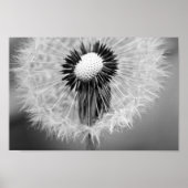 明日の種 ポスター (正面)