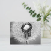 明日の種 ポストカード (スタンド正面)