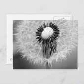 明日の種 ポストカード (正面/裏面)