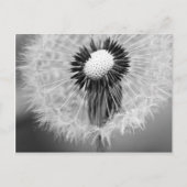 明日の種 ポストカード (正面)