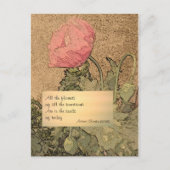 明日の花 ポストカード (正面)