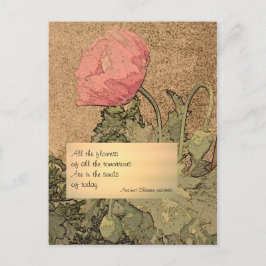 明日の花 ポストカード