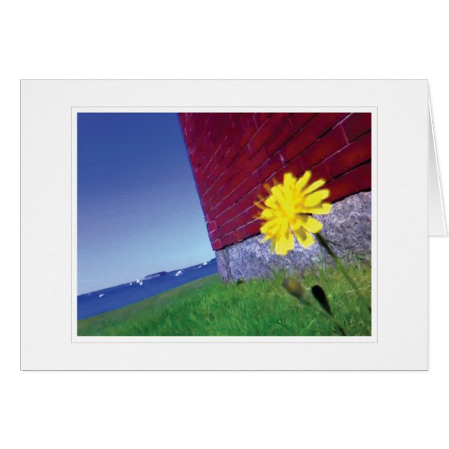 明日の願い (正面横)