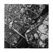 明日は非常に多い タイル (正面)