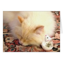 明日、私達は赤い点をつかまえます