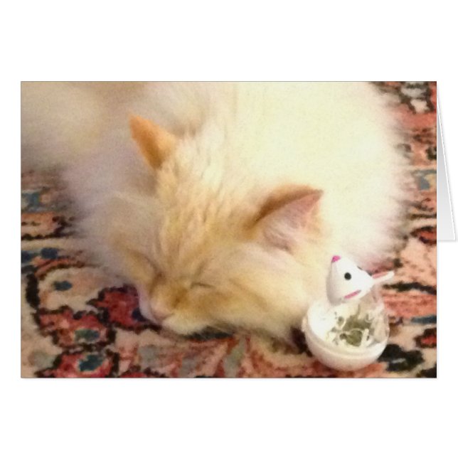 明日、私達は赤い点をつかまえます (正面横)