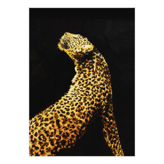 明暗のコントラストが美しいヒョウ – Chiaroscuro Wildlife フォトプリント