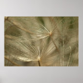 明根クローズアップポスター ポスター (正面)