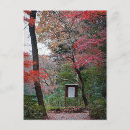 明治神宮内苑 ポストカード