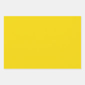 明無地のるい稲妻黄 ラッピングペーパーシート (正面)