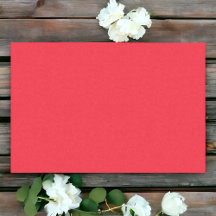 明無地のるい赤カラフルシンプル