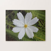 明白で白い美しい ジグソーパズル (横)