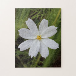 明白で白い美しい ジグソーパズル