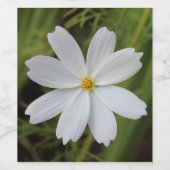 明白で白い美しい ワインラベル (シングルラベル)