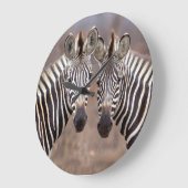 明白なシマウマ、Krugerの国立公園 ラージ壁時計 (傾斜)