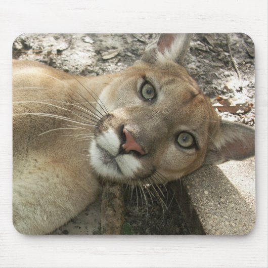 明白なSheenaのマウスパッド- マウスパッド (正面)