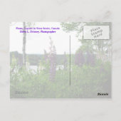 明確に定義されたゴールがない場合は… ポストカード (裏面)