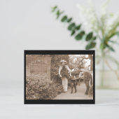 昔のろばの郵便はがき ポストカード (スタンド正面)