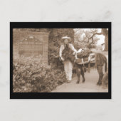 昔のろばの郵便はがき ポストカード (正面)