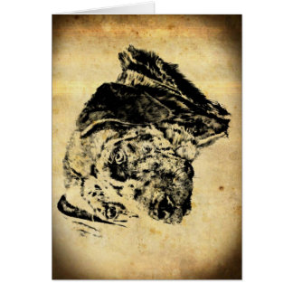 昔ルイジアナCatahoulaのヒョウ犬