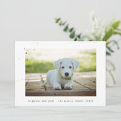 星および点の新年の写真 シーズンカード (スタンド正面)