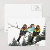 星が生まれある ポストカード (正面/裏面)